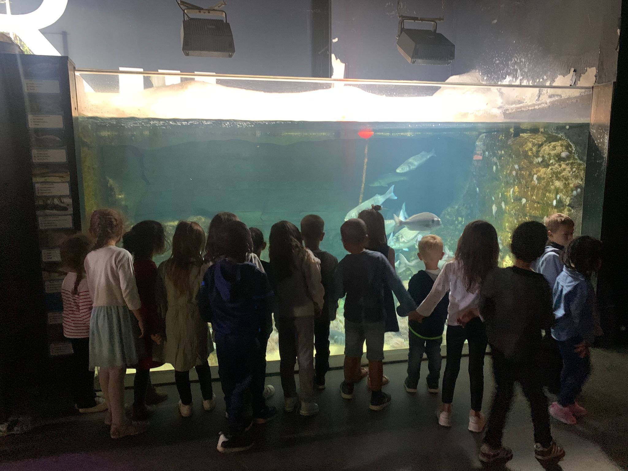 Les écoliers de la maternelle Gabriel Bouvet récompensés ! – Coignières